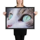 Tableau photo chat yeux verts