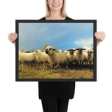 Tableau de Mouton en Meute