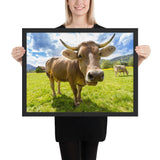 Tableau Vache Aubrac Déco