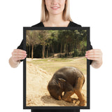 Tableau Elephant Roulade sur le Sable
