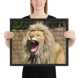 Tableau Lion qui Baille Grande Canine