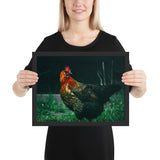 Tableau Coq Déco