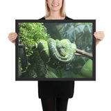 Tableau de Serpent Vert