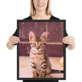 Tableau Chaton Tigrou