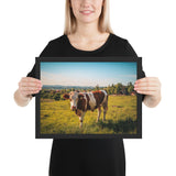 Tableau Animaux de Taureau