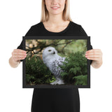 Tableau Chouette la Dame Blanche dans un Arbre