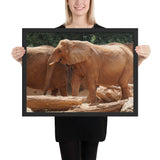 Tableau Eléphant Indien