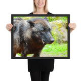 Tableau Loup Noir Contemporain