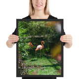Tableau avec Flamant