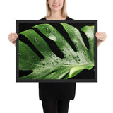 Tableau jungle tropical vert humide