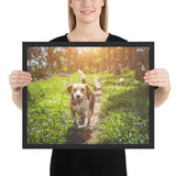 Tableau Chien Balade au Soleil Langue Pendu