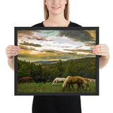 Tableau Chevaux Sauvages en Montagne