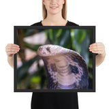 Tableau Cobra aux taches noires