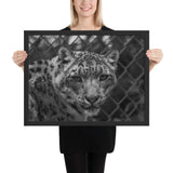 Tableau Leopard Noir et Blanc au Zoo