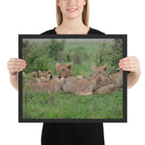 Tableau déco Famille Lion