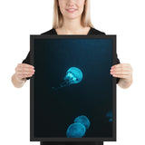 Tableau de Méduse Fluorescente et Transparente