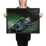 Tableau déco Grenouille