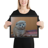 Tableau Animaux Chat Rigolo