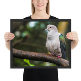Tableau Oiseaux sur une Branche Focus