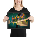 Tableau avec des Perroquets Violets et Oranges
