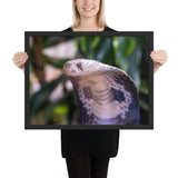 Tableau Cobra (L'Albinos) avec des Taches