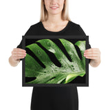 Tableau tropical vert mouillé
