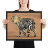 Tableau Léopard Yeux Bleus