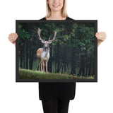 Tableau Rennes de Noël