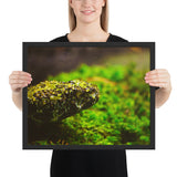 Tableau de Serpent Tacheté d'Algue