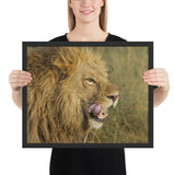 Tableau d'un Lion Affamé