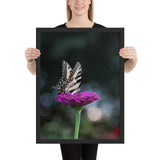 Tableau de Papillons (Fleur Mauve)