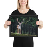 Tableau Animaux Rennes du Père Noël