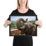 Tableau Eléphant (Déco)