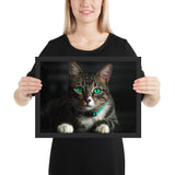 Tableau Animaux Chat Coloré Regard de Nuit