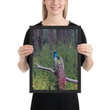 Tableau Oiseau sur branche (Faisan à la Tête Bleu)