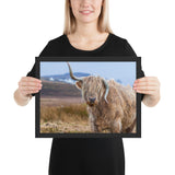 Tableau Vache Highland Montagne