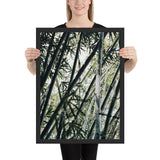Tableau jungle bambou d'asie