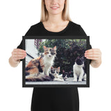 Tableau Chat Rigolo aux Yeux Verts