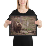 Tableau Ours Montagne Chassant