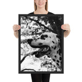 Tableau Dalmatien Noir et Blanc