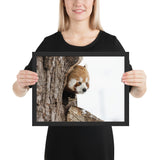Tableau Panda Roux (Design)