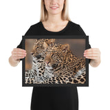 Tableau Léopard le Duo