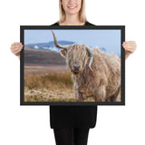 Tableau Vache Highland Corne Inversé