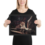 Tableau Animaux de Lion Noir et Blanc Jungle