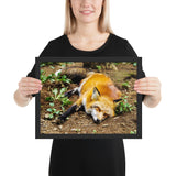 Tableau Animaux Enfant Renard Endormi