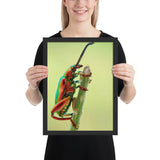 Tableau Scarabée Multicolore Jaunit