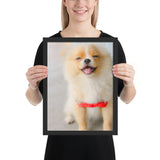 Tableau Chiot Spitz Petit cadre