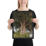 tableau photo tropical jungle