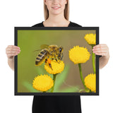 Tableau Abeille sur les Fleurs