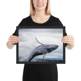 Tableau Animaux Baleine